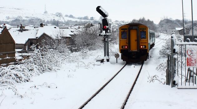 TREN BLOCAT între Sinaia şi Comarnic, după ce un copac a căzut pe liniile electrice