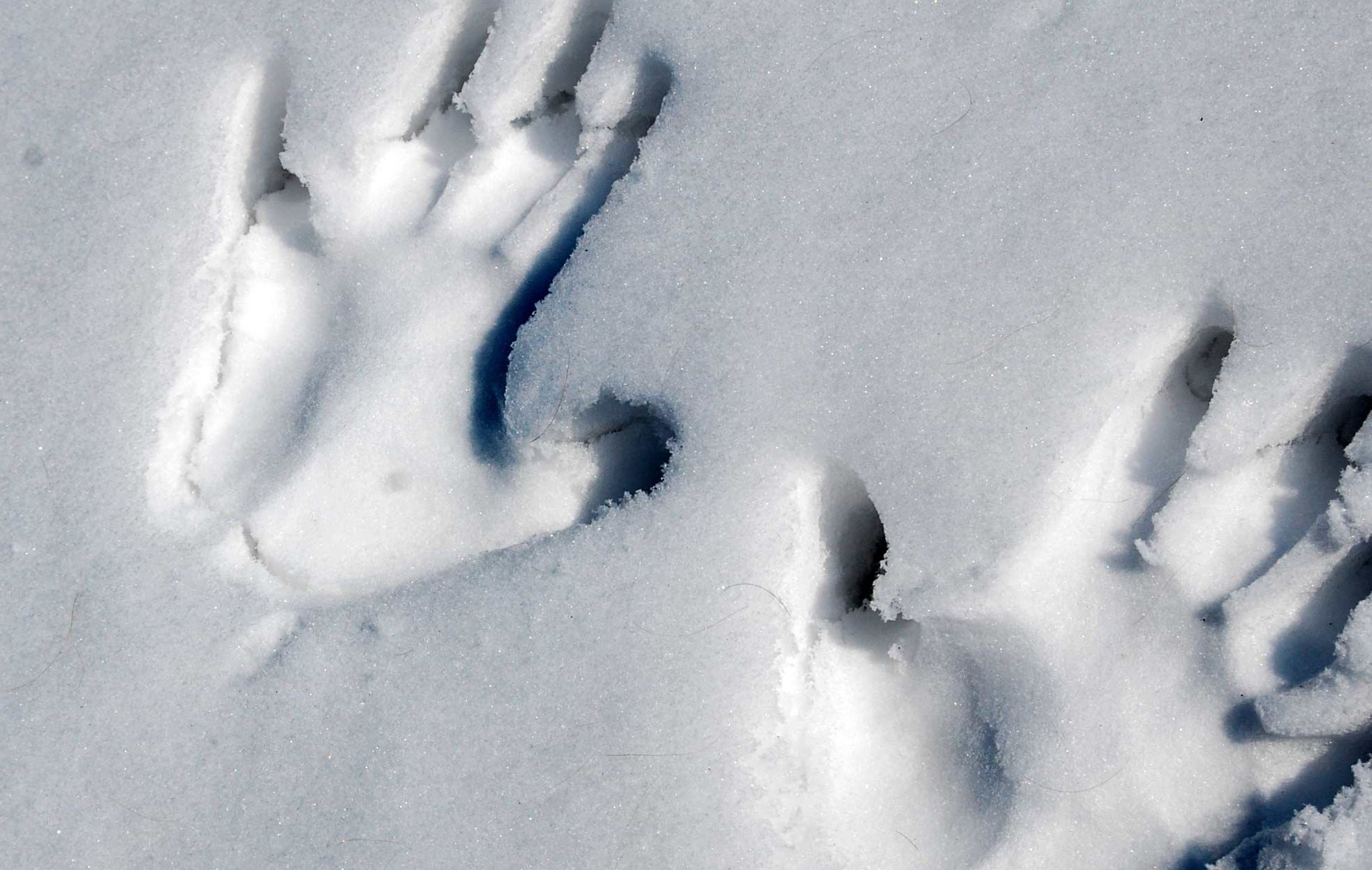 Cum să-ți deszăpezești strada în trei minute. Soluția incredibil de ușoară. VIDEO