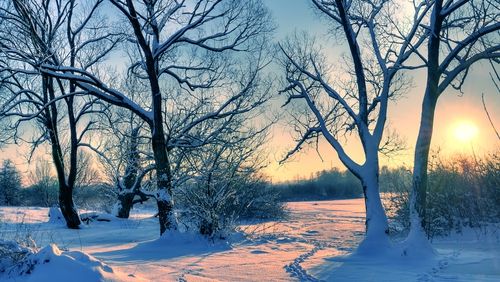 PROGNOZA METEO pentru trei zile: ceaţa se menţine. VESTE BUNĂ de la METEO: apare SOARELE!