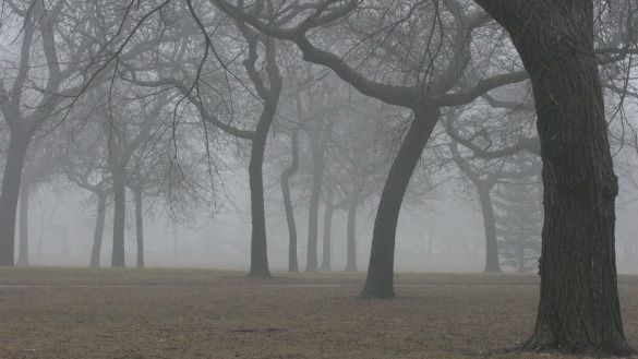 Vor fi condiţii de ceaţă şi burniţă. Prognoza meteo pe trei zile 
