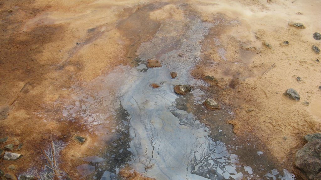 Gestul DEZGUSTĂTOR făcut de CEL MAI BOGAT OM DIN LUME. Tu ai putea SĂ BEI AȘA CEVA? 