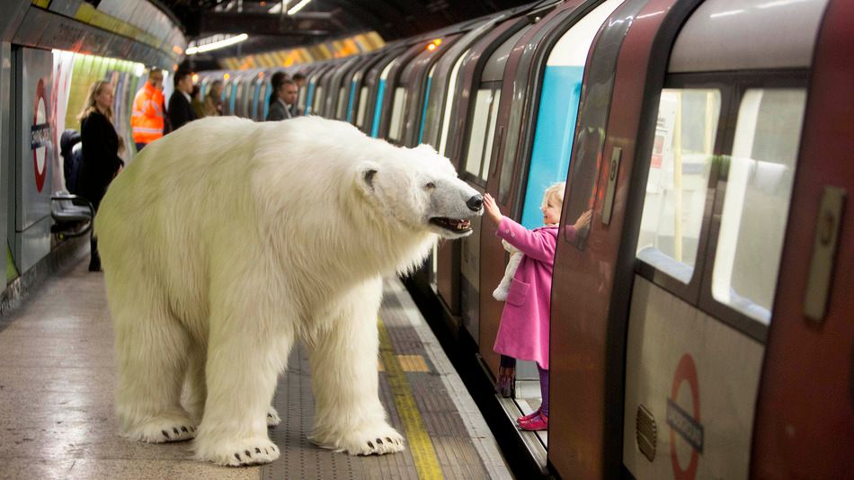 Apariţia care a şocat londonezii: un urs polar la metrou