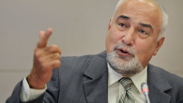 ALDE o acuză pe Olguţa Vasilescu că îi fură proiecte legislative şi se laudă public cu ele