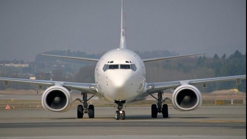 O albină a provocat întârzierea cu patru ore a decolării unui avion 