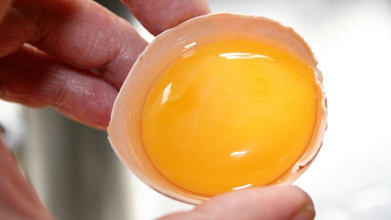 Gălbenuşul de ou, la fel de priculos ca şi ţigările?