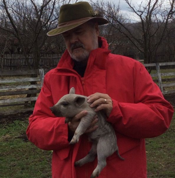 Adrian Năstase anunţă că are nouă purceluşi