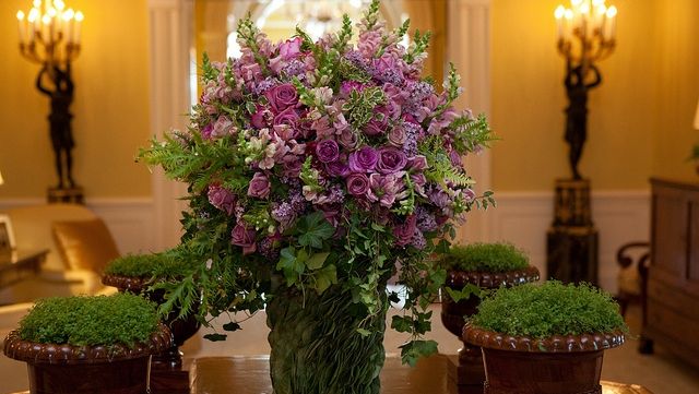 Demisie cu iz de scandal la Casa Albă: De ce a plecat florăreasa