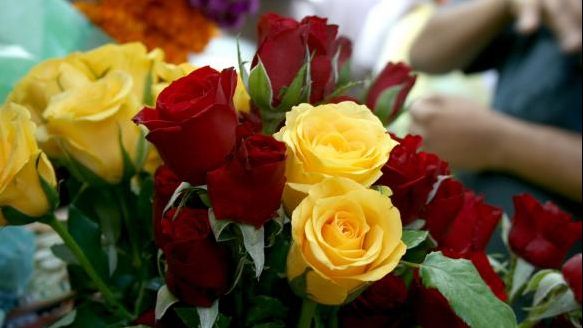 8 Martie. Flori îngheţate şi vânzări slabe