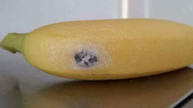 A cumpărat banane dintr-un supermarket. Ce a găsit în ele a şocat-o