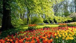 Prima zi a primăverii. Fenomene bizare de prima zi a primăverii. Ce face Google