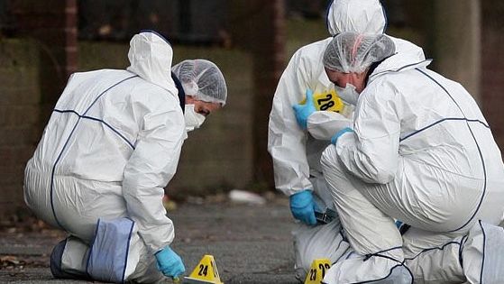 Descoperire halucinantă într-un parc din Constanţa