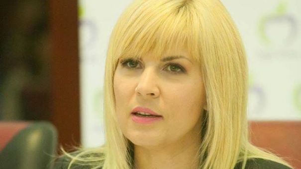 Udrea depune o nouă contestație în dosarul Gala Bute. Pe 10 aprilie află dacă iese din arest 