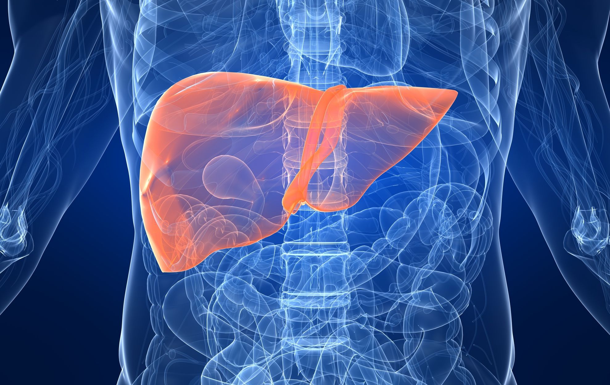 Boala ficatului gras: Care sunt cauzele şi cum se tratează