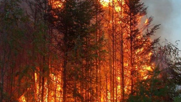 Incendiul din apropierea centralei Cernobâl, stins în mare parte 