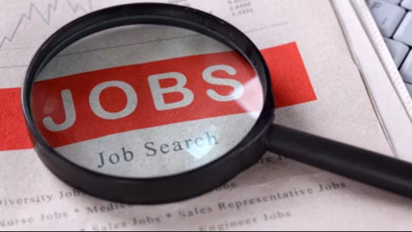 Guvernul recrutează 300 de tineri