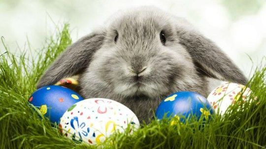 MESAJE DE PAȘTE. URĂRI DE PAȘTE. Cele mai fierbinți MESAJE DE PAȘTE