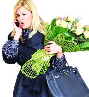 Rechizitoriu. Udrea și-a cumpărat o geantă din piele de crocodil cu 100 000 de USD, plătind cash