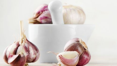 Ierburi şi alimente cu proprietăţi antibiotice