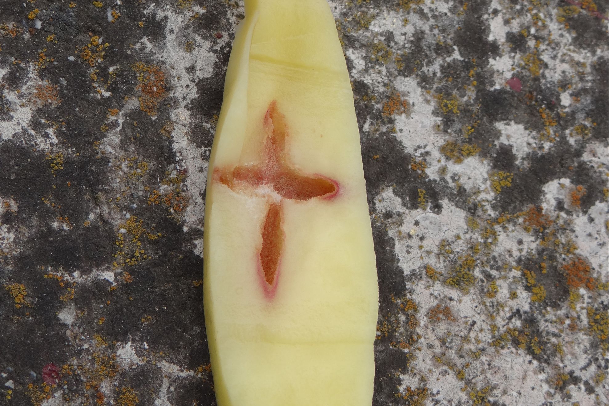 A curăţat un cartof şi a rămas uimită ce a găsit în interior 