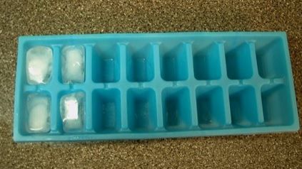 Fabrica de gheaţă cu E-coli a fost închisă, controalele se extind
