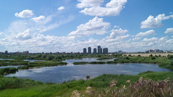 Bucureştiul, aproape de a intra pe lista capitalelor care deţin rezervaţii naturale