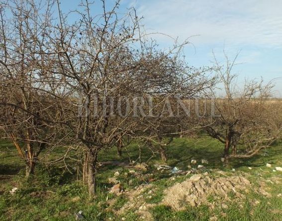 O livadă a ajuns depozit de gunoaie. Imagini care te îngrozesc 