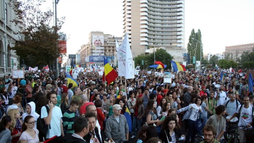 Mii de oameni au ieşit în stradă, în toată ţara, contra defrişărilor pădurilor