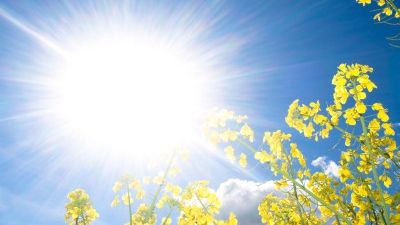 Prognoza meteo pentru vineri, 12 iunie, şi pentru weekend. Temperaturile continuă să crească