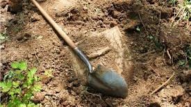 Comoara din peninsulă! Ce au descoperit polițiștii italieni în grădina unui traficant de droguri