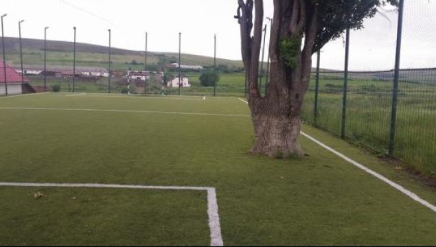Ca la noi la „nimenea”! De ce a lăsat primarul un... copac pe terenul de fotbal