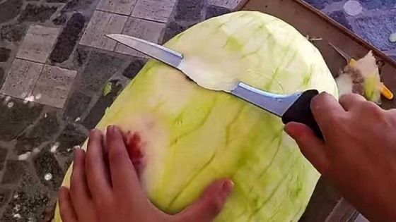 A luat un pepene şi a început să îi taie coaja! E incredibil ce a reuşit să facă din el