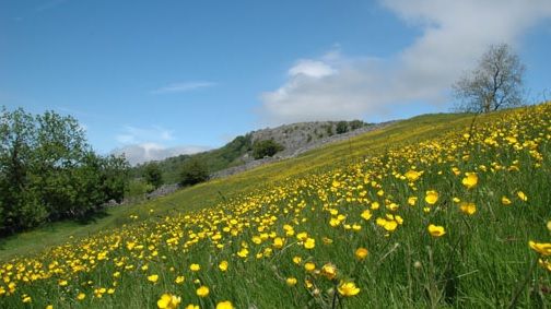 Prognoza meteo, 18 iunie. Surprize uriaşe pentru această zi!