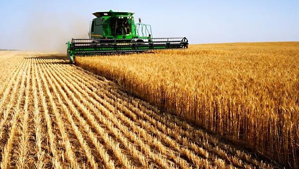 Pământurile agricole, cumpărate de cine dă mai mult