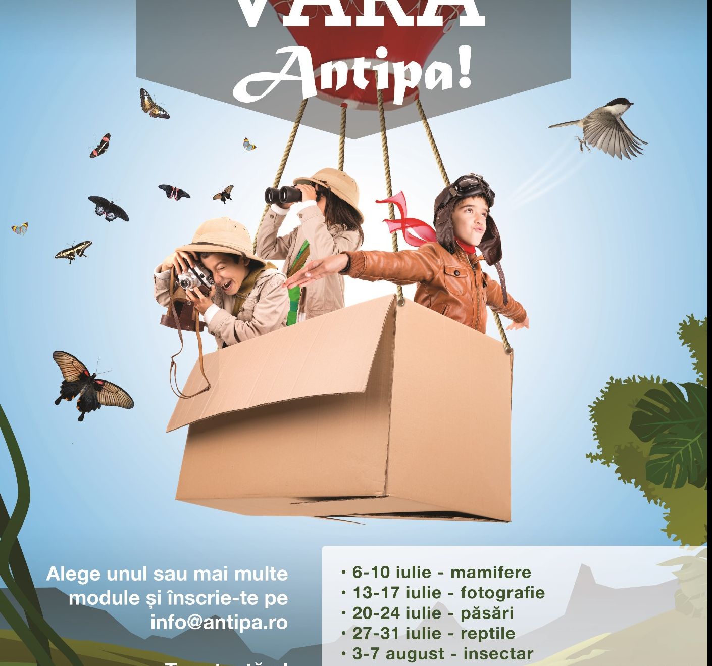 Muzeul Antipa invită copiii la insectar. Învaţă cele mai bune metode pentru conservarea insectelor