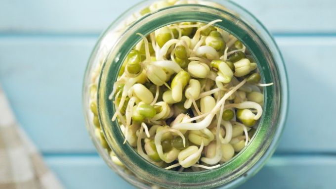 Rețeta care distruge celulele canceroase si vindecă organismul