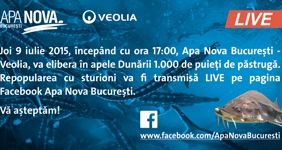 A patra repopulare cu sturioni va fi LIVE pe Facebook (P)