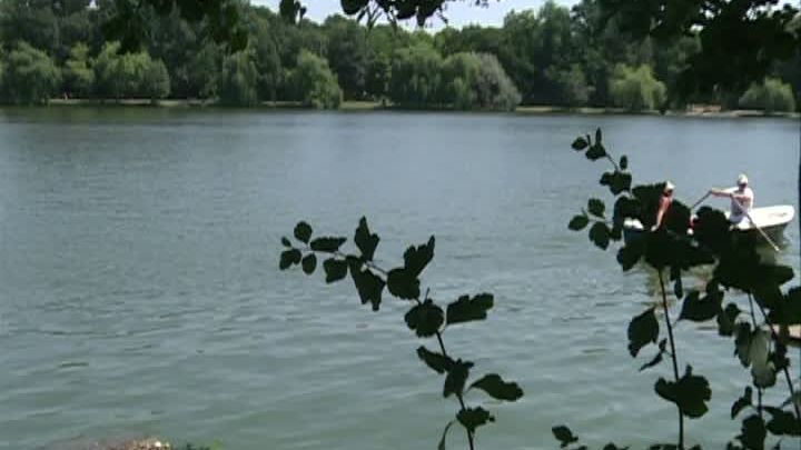 Fenomen șocant pe lacul Herăstrău, în Capitală. Ce au văzut bucureștenii în ultimele zile