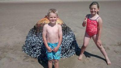 S-au jucat cu un obiect straniu, găsit pe plajă. S-au îngrozit când au aflat ce era de fapt