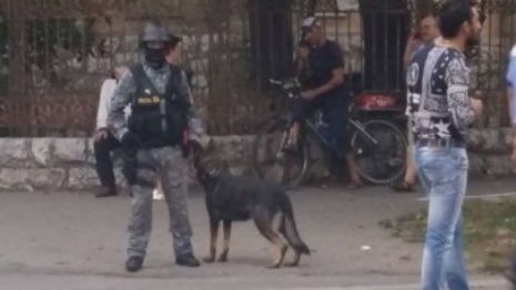 Scandal în plină stradă între clanurile celor mai bogate familii de romi din Timişoara 