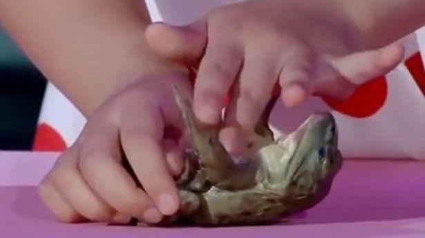 Număr "artistic" bizar la un show de talente din China. Ce a făcut o fetiţă în vârstă de 5 ani