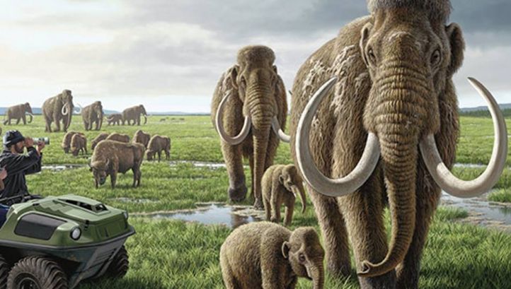 Mamutul armenesc - cel mai mare mamifer terestru din istorie!
