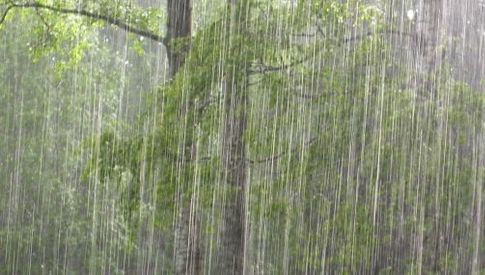 Anunţ de la meteorologi: vremea se schimbă la 180 de grade. Prognoza meteo pentru 3 zile