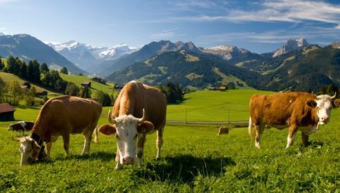 O turistă a avut parte de o moarte teribilă în unul din cele mai frumoase locuri de pe Pământ