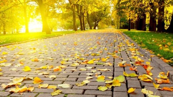 Prognoza meteo pe 3 luni. Cum va fi vremea în lunile septembrie-noiembrie. Temperaturi neobişnuite