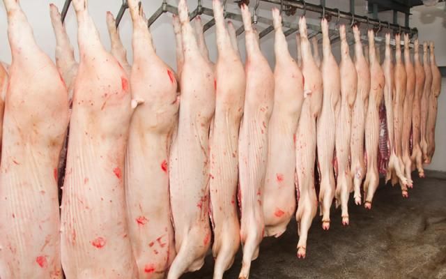 Descinderi de amploare, în această dimineaţă, la vânzătorii de porci 
