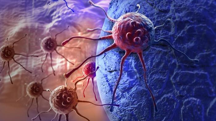 Celulele canceroase se distrug între ele dacă mănânci zilnic această plantă 