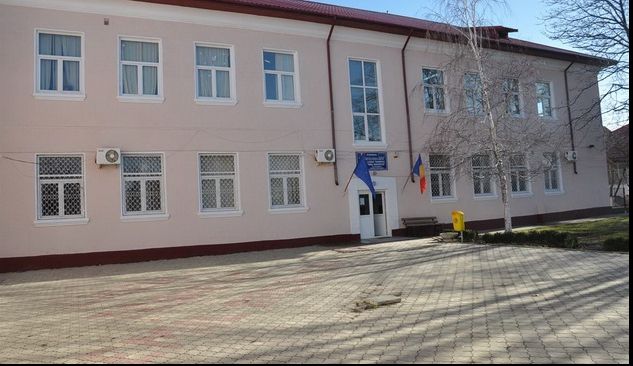 Invazie de purici la un liceu din Constanța. Elevii au fost trimiși acasă