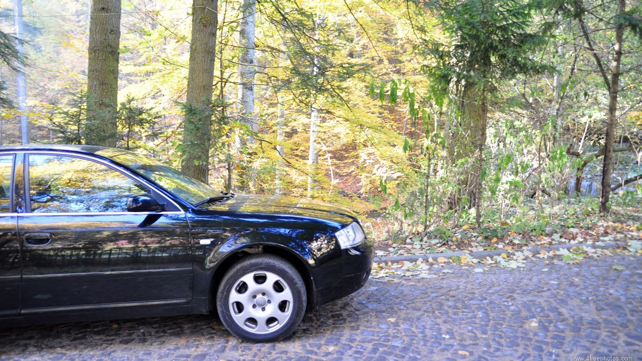 A vrut să se relaxeze, aşa că a tras pe dreapta şi a intrat în pădure. Ce s-a întâmplat apoi