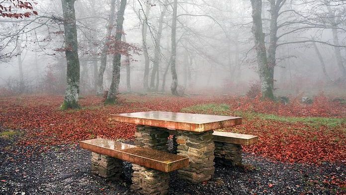 Veşti bune de la meteo: cum va fi vremea până vineri