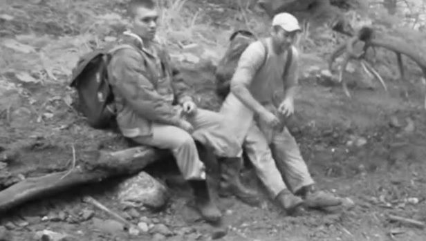 Revoltător: ce au surprins camerele de supraveghere într-o pădure din Munţii Ţarcu